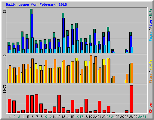 Daily usage for February 2013